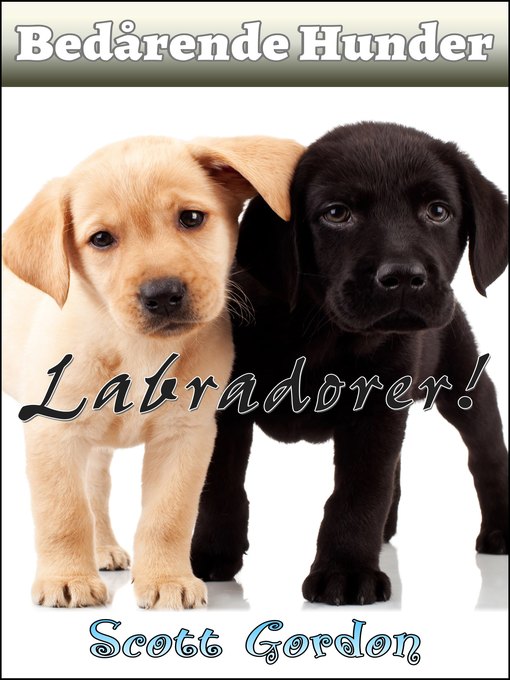 Title details for Labradorer by Scott Gordon - Available